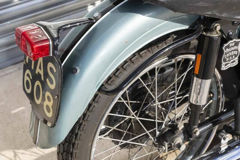 Image 24/46 of Triumph Tiger 100 II (1954)