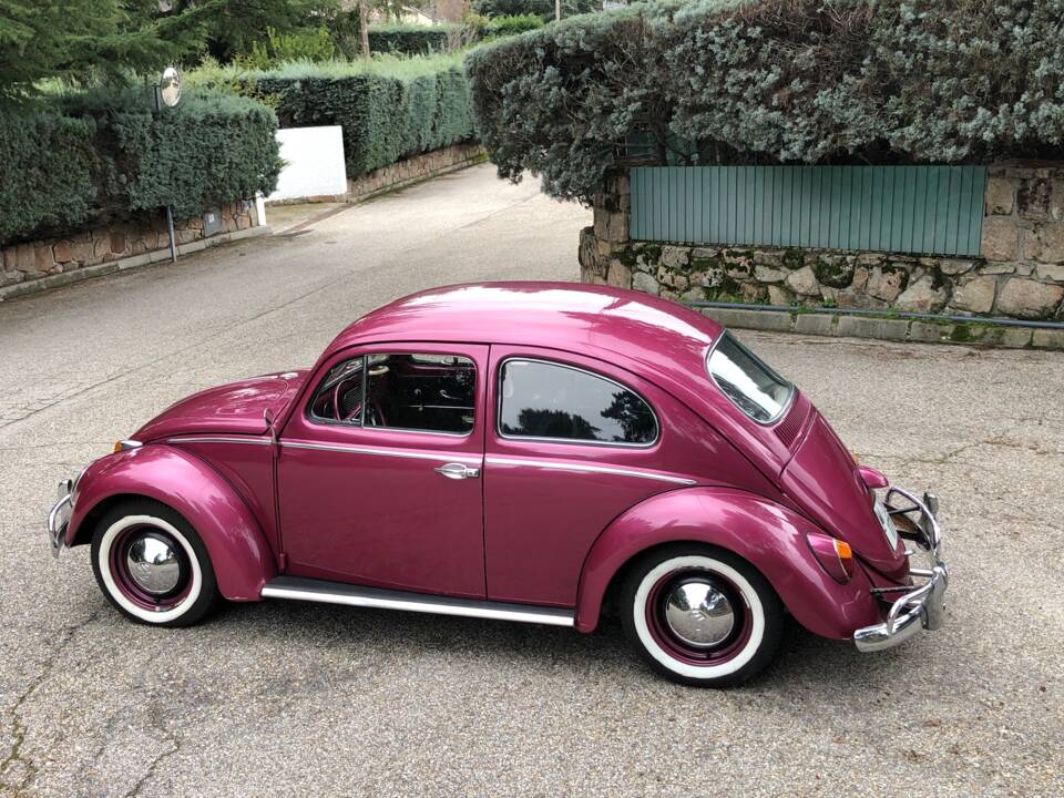 Imagen 12/15 de Volkswagen Käfer 1200 Standard &quot;Ovali&quot; (1956)