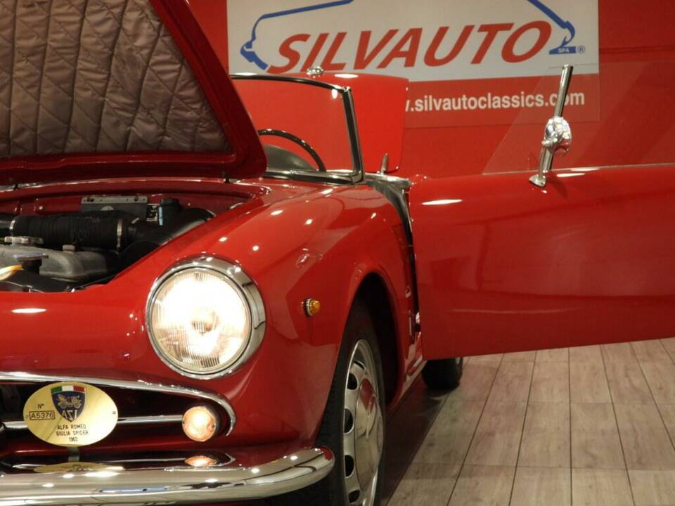 Afbeelding 12/14 van Alfa Romeo Giulia 1600 Spider (1963)