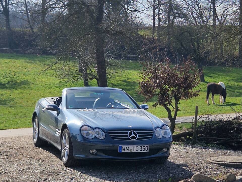 Image 3/26 de Mercedes-Benz SL 350 (2004)