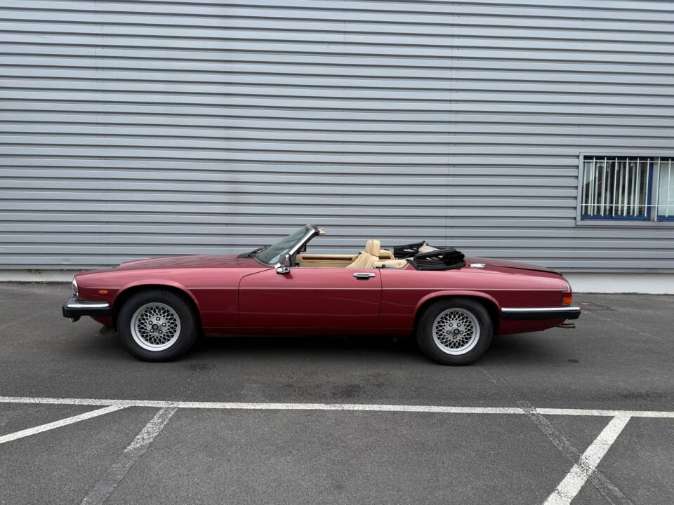 Image 1/64 of Jaguar XJ-S Convertible (1989)