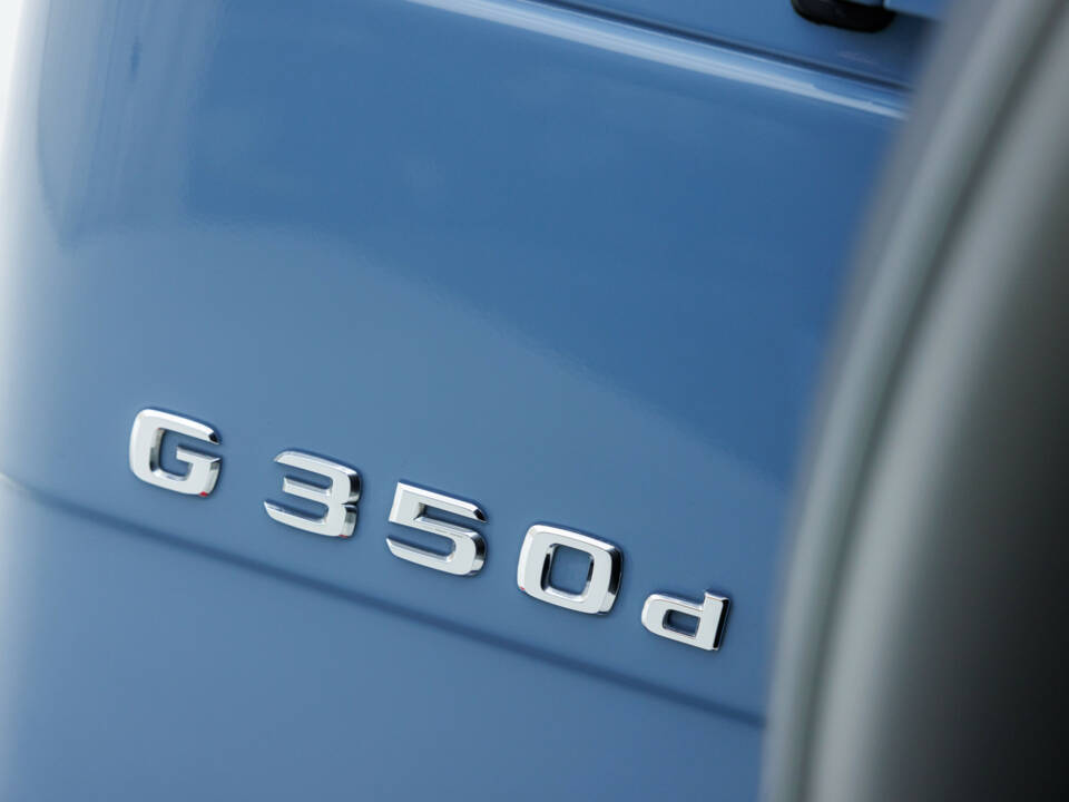 Immagine 34/48 di Mercedes-Benz G 350 d Professional (2018)