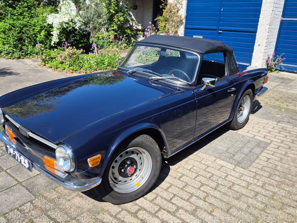 Image 1/100 of Triumph TR 6 PI (1971)