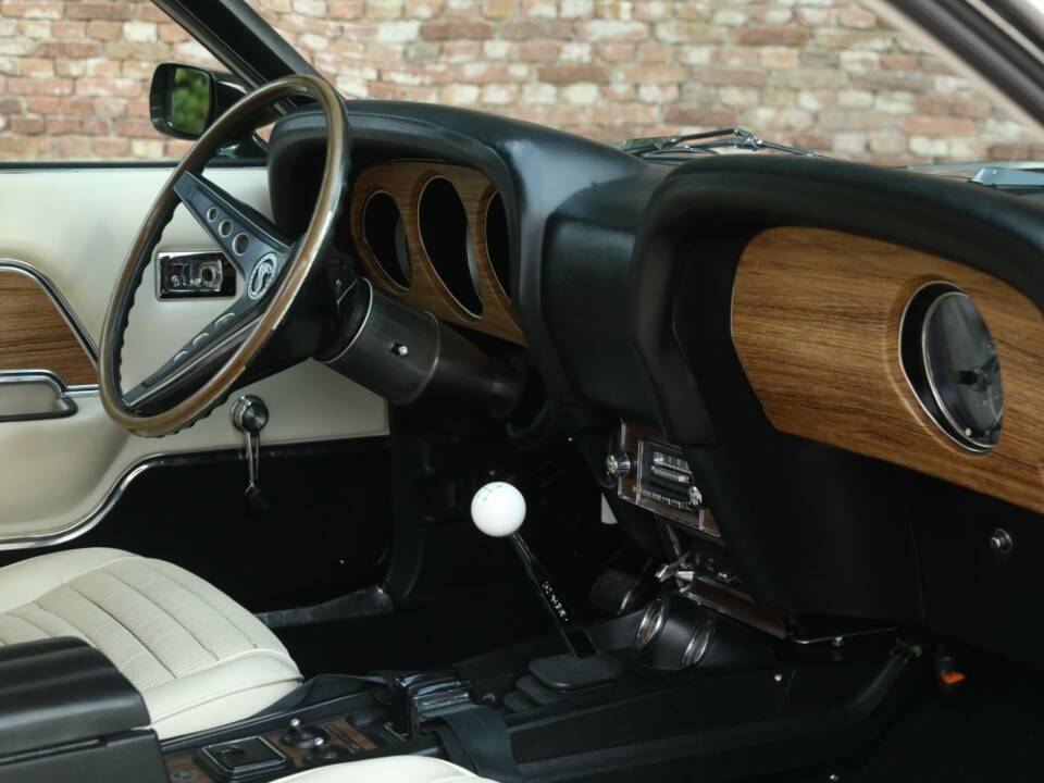 Image 48/50 of Ford Shelby GT 500 (1969)