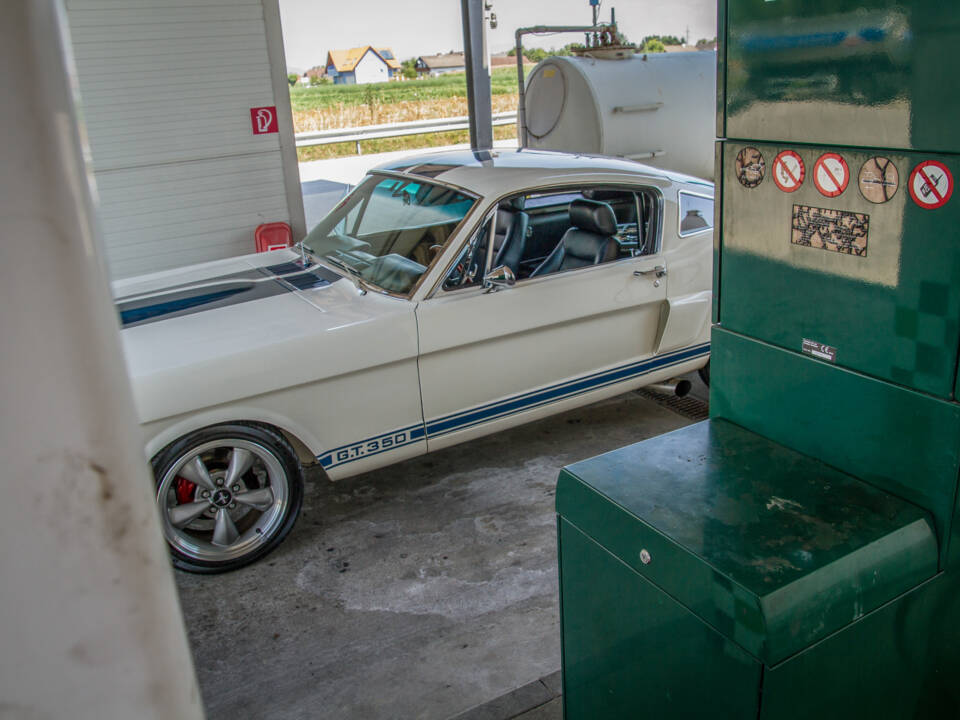 Bild 22/25 von Ford Shelby GT 350 (1966)