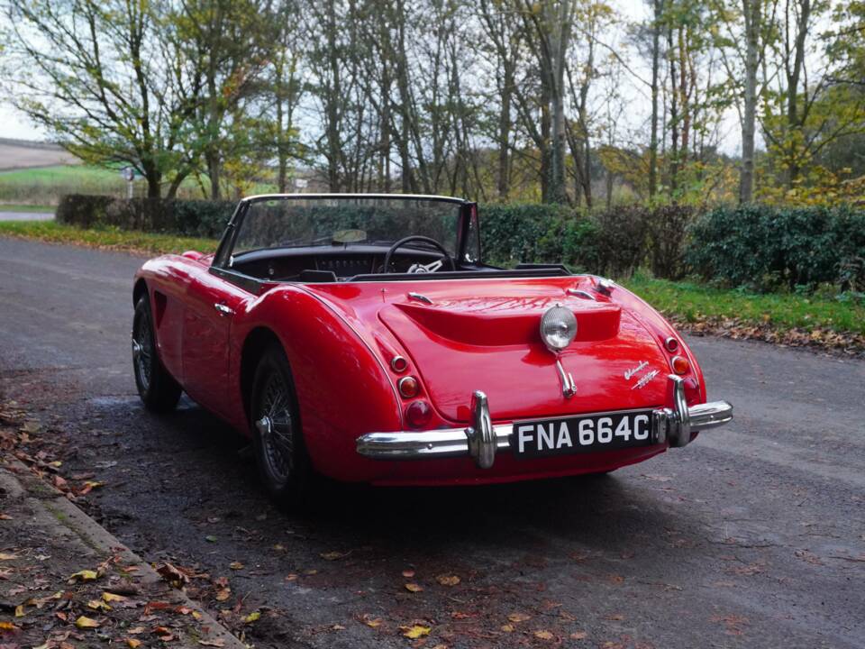 Immagine 4/18 di Austin-Healey 3000 Mk III (BJ8) (1964)