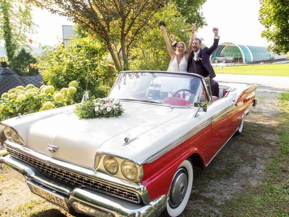 Afbeelding 7/31 van Ford Fairlane Skyliner (1959)