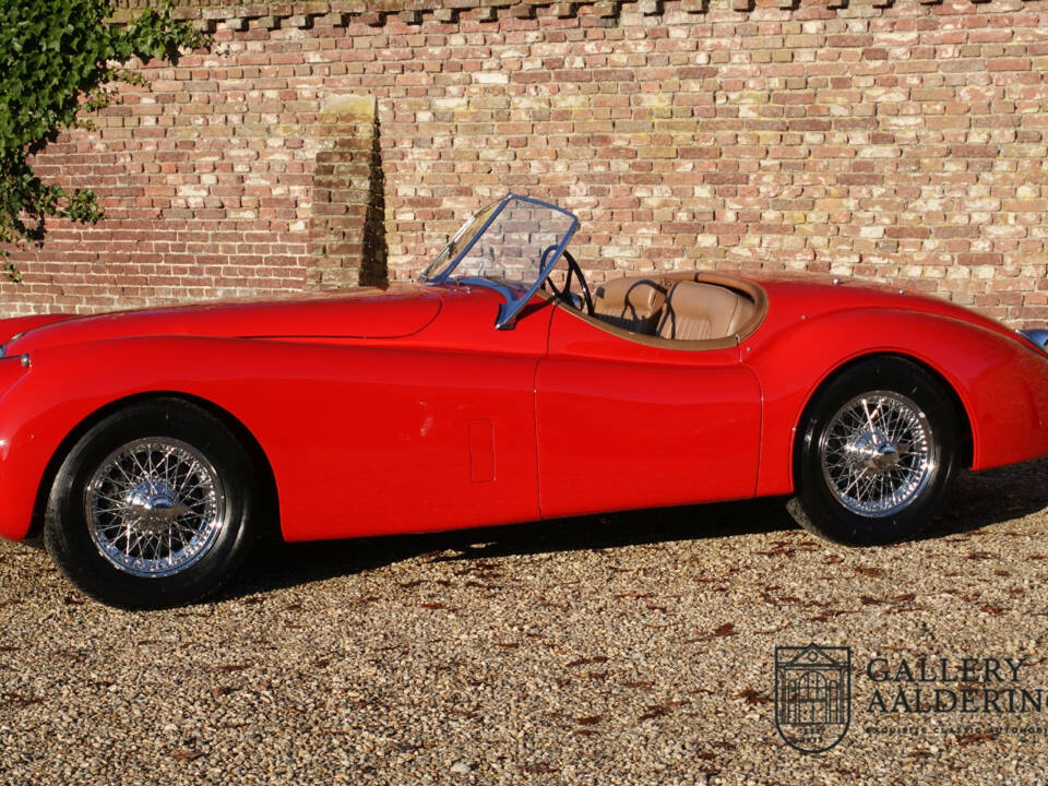 Immagine 41/50 di Jaguar XK 120 OTS (1954)