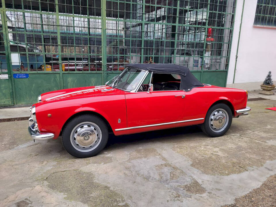 Image 48/65 of Alfa Romeo Giulietta Spider (1962)
