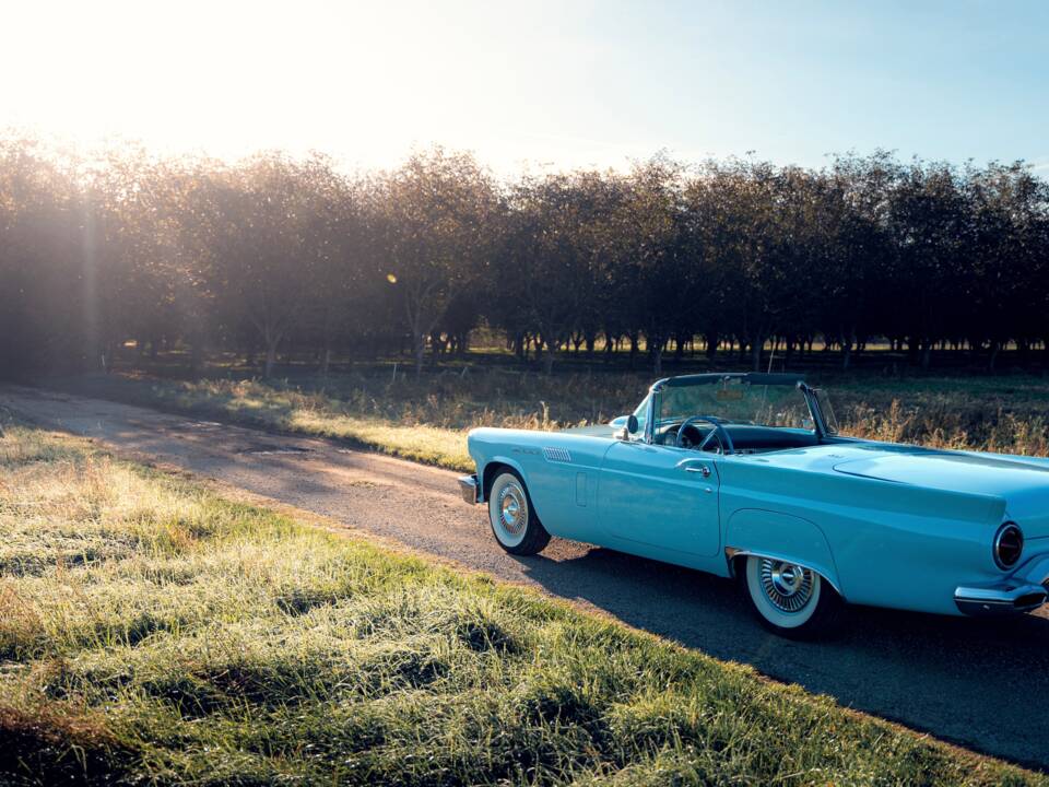 Bild 38/59 von Ford Thunderbird (1957)