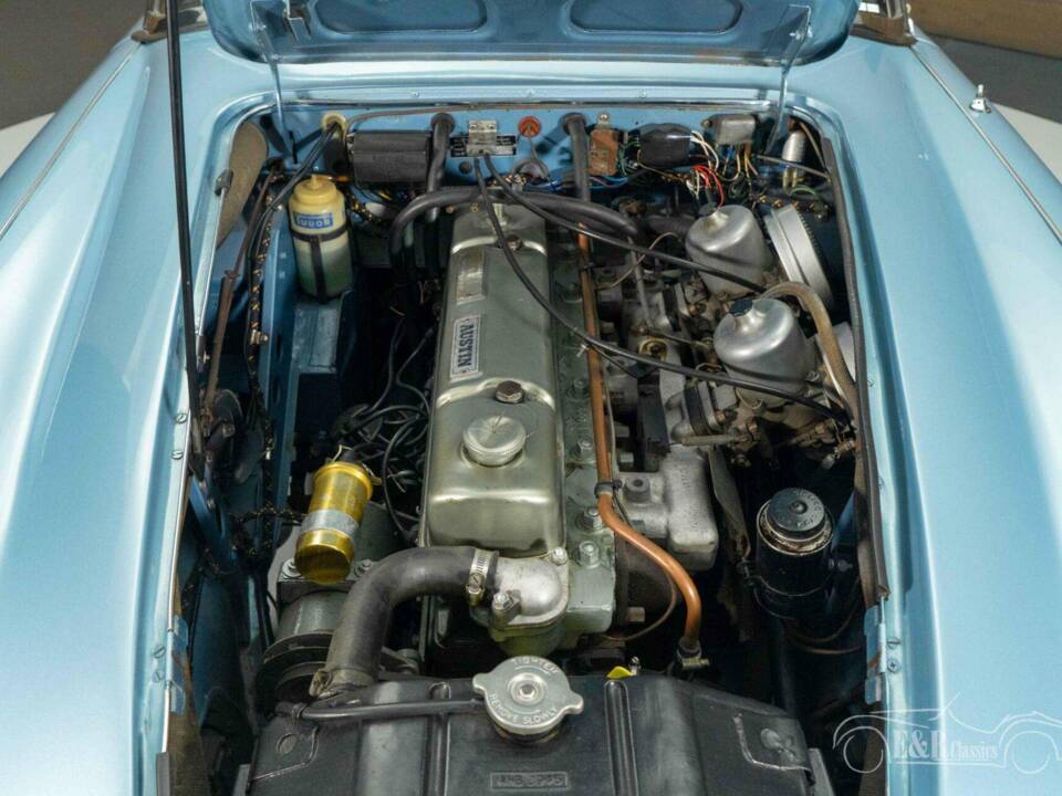Immagine 5/19 di Austin-Healey 3000 Mk III (BJ8) (1966)