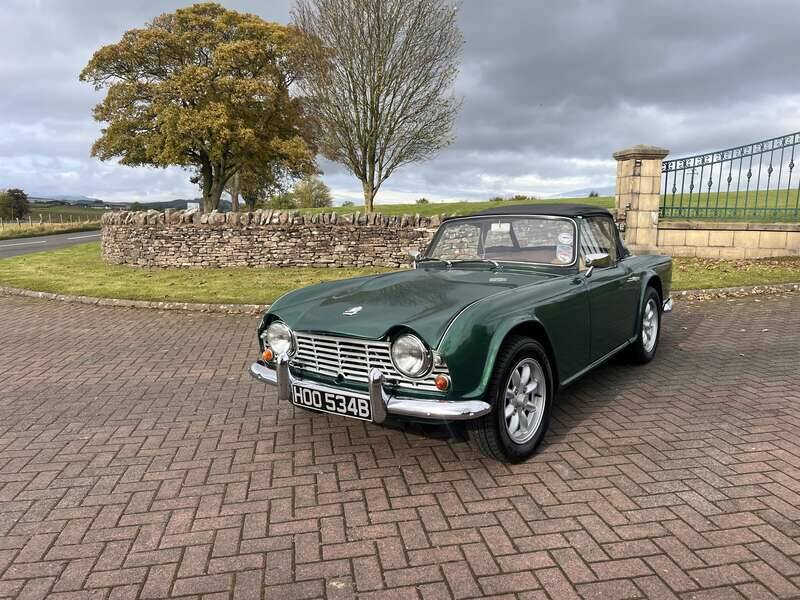 Image 24/45 of Triumph TR 4 (1964)