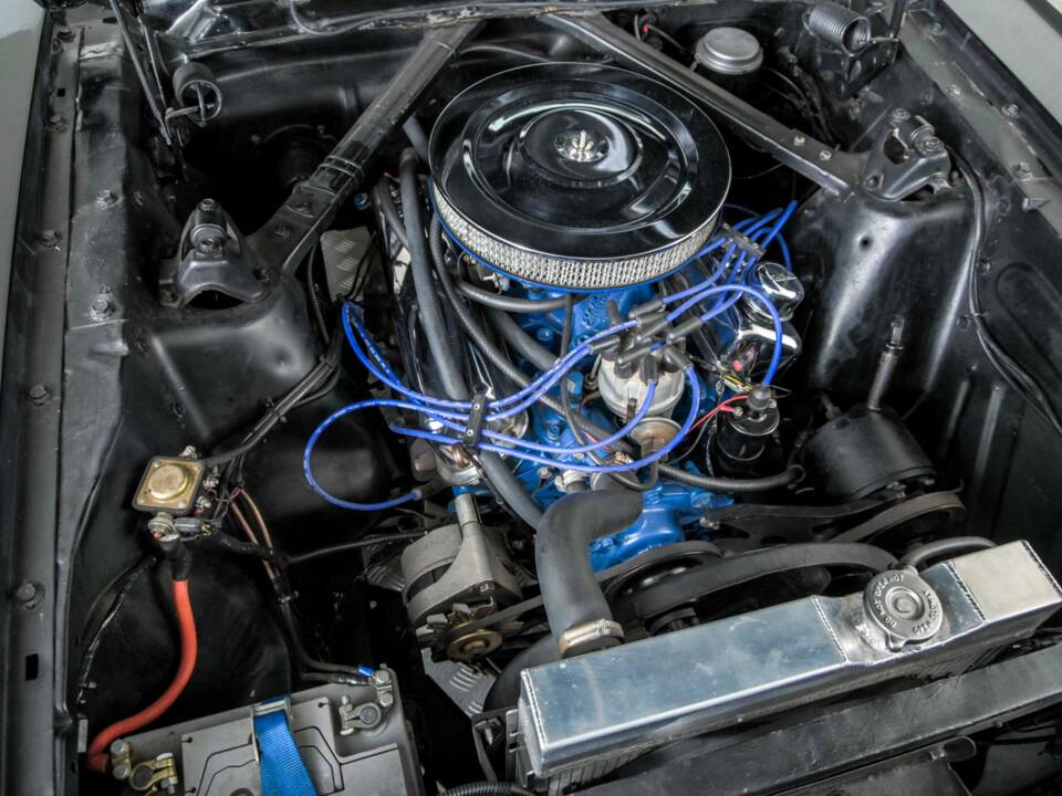 Immagine 37/50 di Ford Mustang 289 (1965)