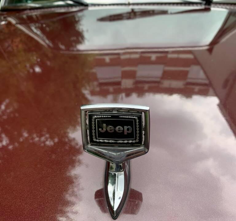 Imagen 14/14 de Jeep Grand Wagoneer (1988)