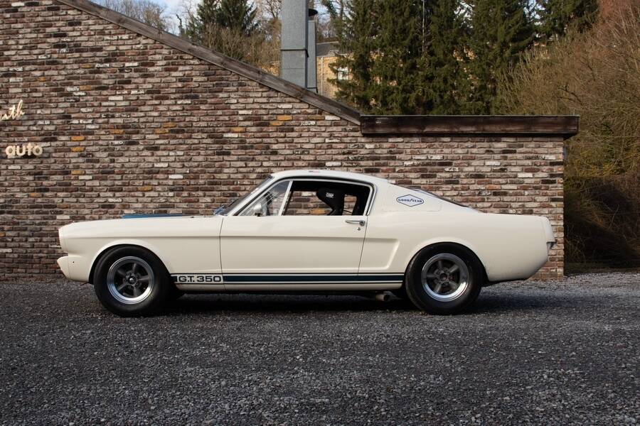 Afbeelding 35/48 van Ford Shelby GT 350 (1965)