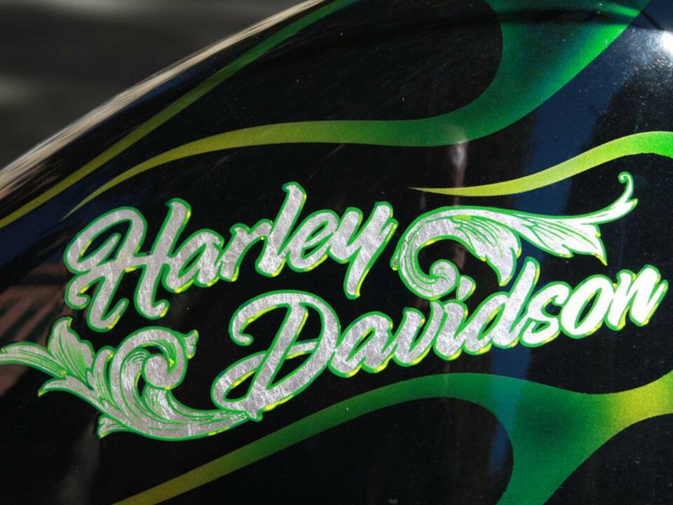 Imagen 50/50 de Harley-Davidson DUMMY (1995)