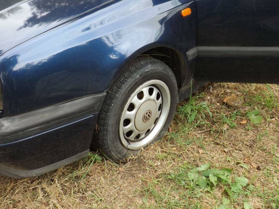 Image 48/50 of Volkswagen Golf III Cabrio 1.6 (1996)