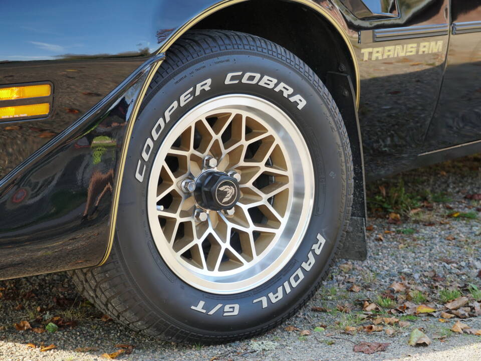 Image 69/69 of Pontiac Firebird TransAm (1979)