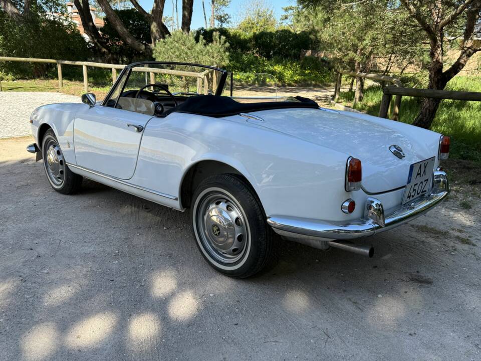 Bild 5/8 von Alfa Romeo Giulietta Spider (1960)