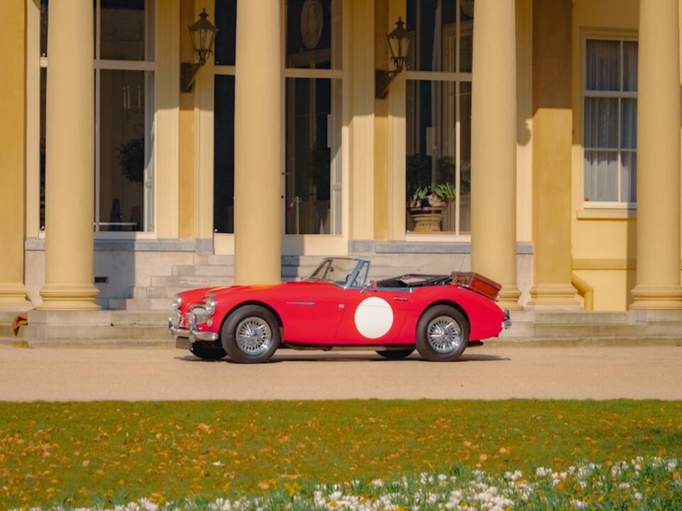 Afbeelding 10/52 van Austin-Healey 3000 Mk III (BJ8) (1965)