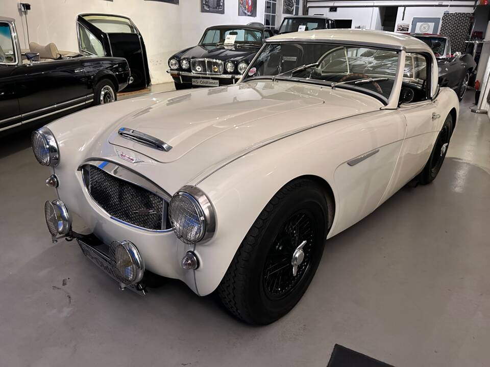 Afbeelding 5/28 van Austin-Healey 3000 Mk I (BN7) (1960)