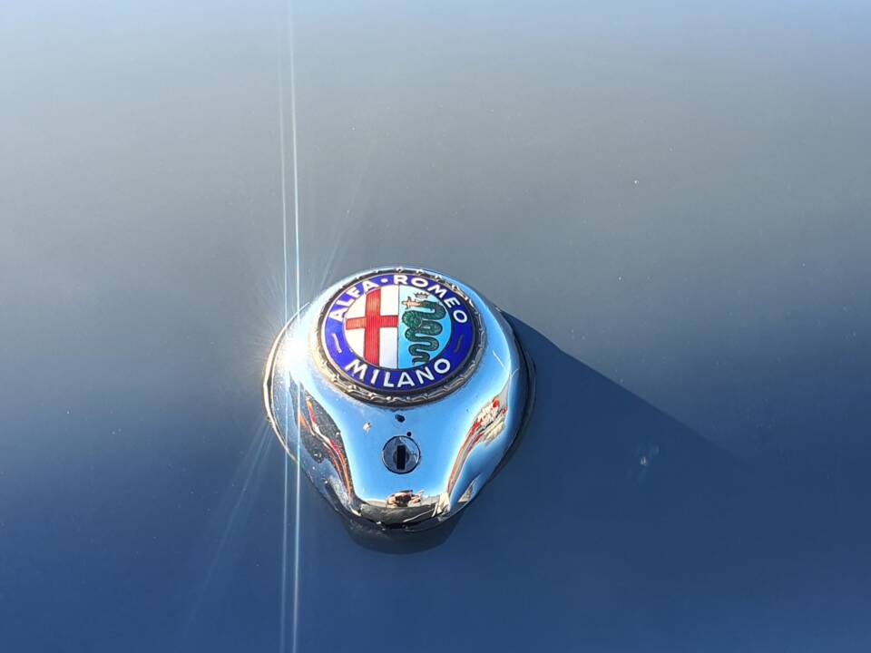 Image 23/50 of Alfa Romeo Giulietta Spider (1959)