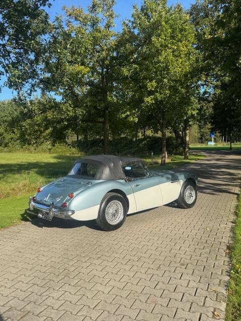 Bild 2/7 von Austin-Healey 3000 Mk III (BJ8) (1966)