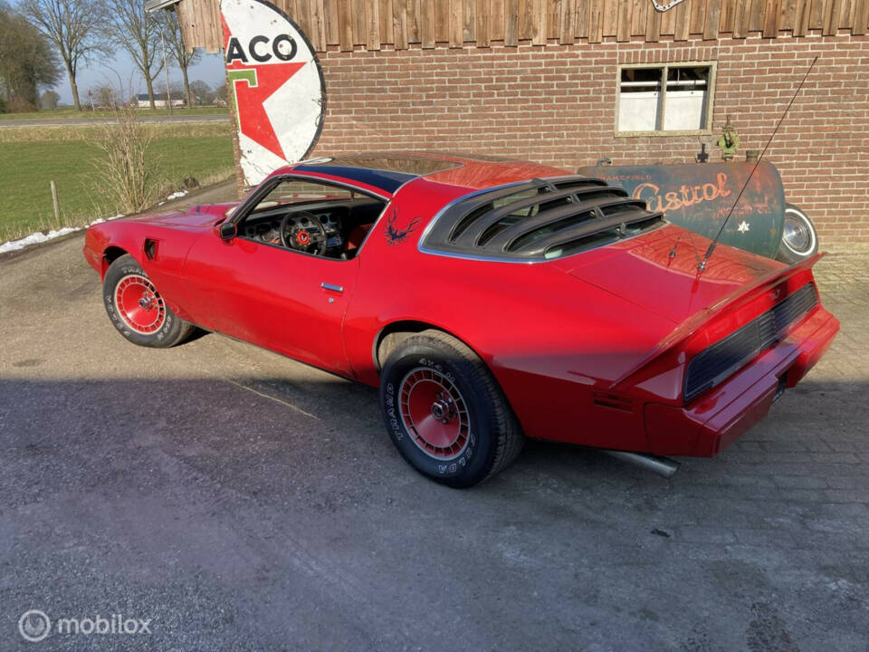 Image 40/50 of Pontiac Firebird TransAm (1982)