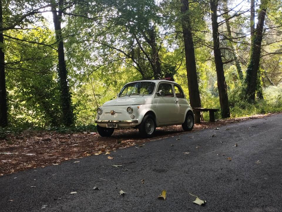 Bild 14/54 von FIAT 500 L (1969)