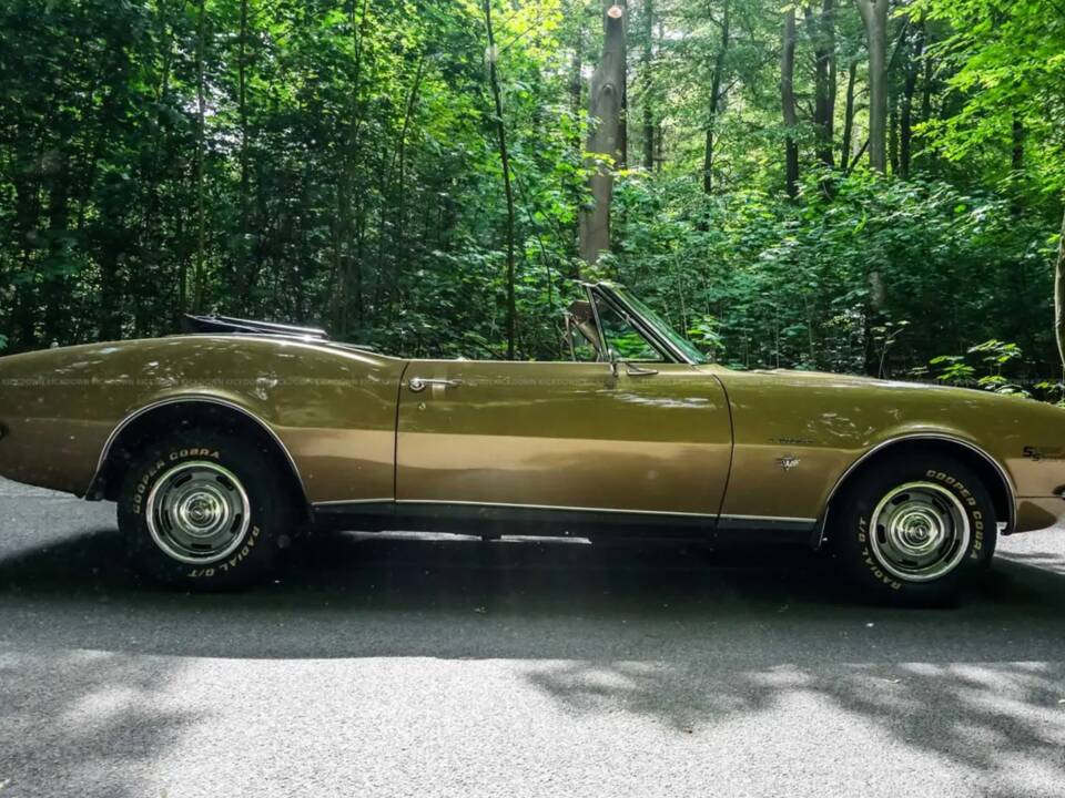 Image 3/14 of Chevrolet Camaro SS (1967)