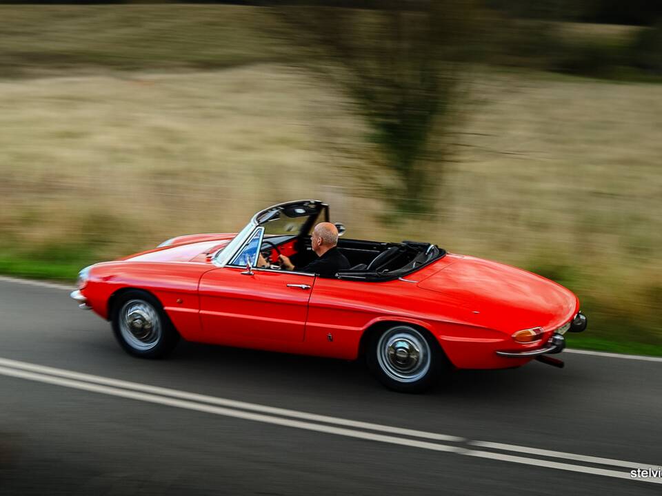 Afbeelding 41/50 van Alfa Romeo 1600 Spider Duetto (1967)