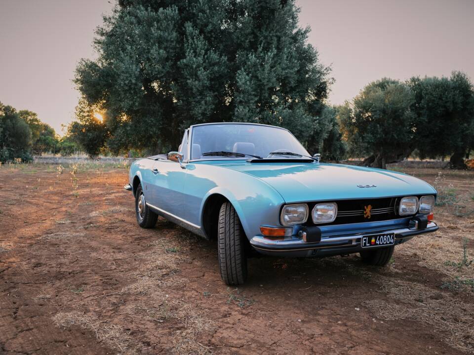 Imagen 1/40 de Peugeot 504 Convertible (1974)