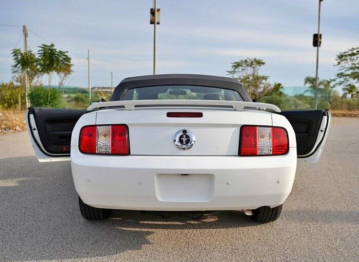 Immagine 6/7 di Ford Mustang V6 (2006)