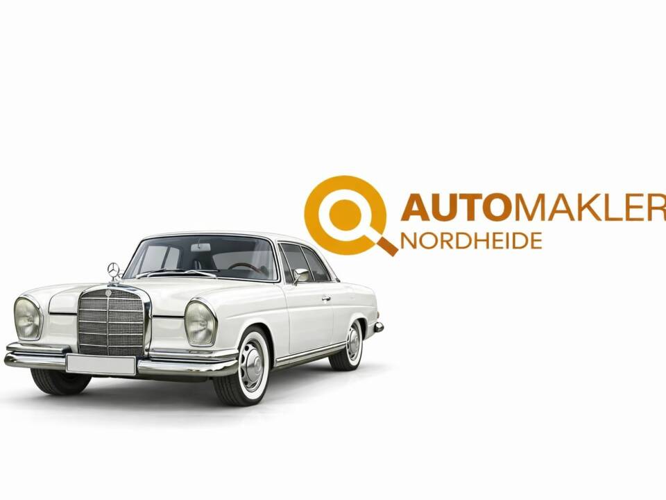 Image 37/54 of Mercedes-Benz 220 SE b (1963)