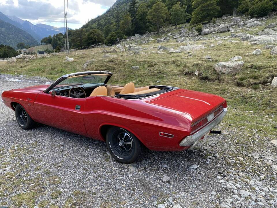 Immagine 5/8 di Dodge Challenger (1970)