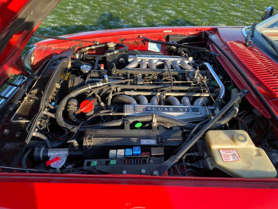 Image 20/30 of Jaguar XJS 5.3 V12 (1992)