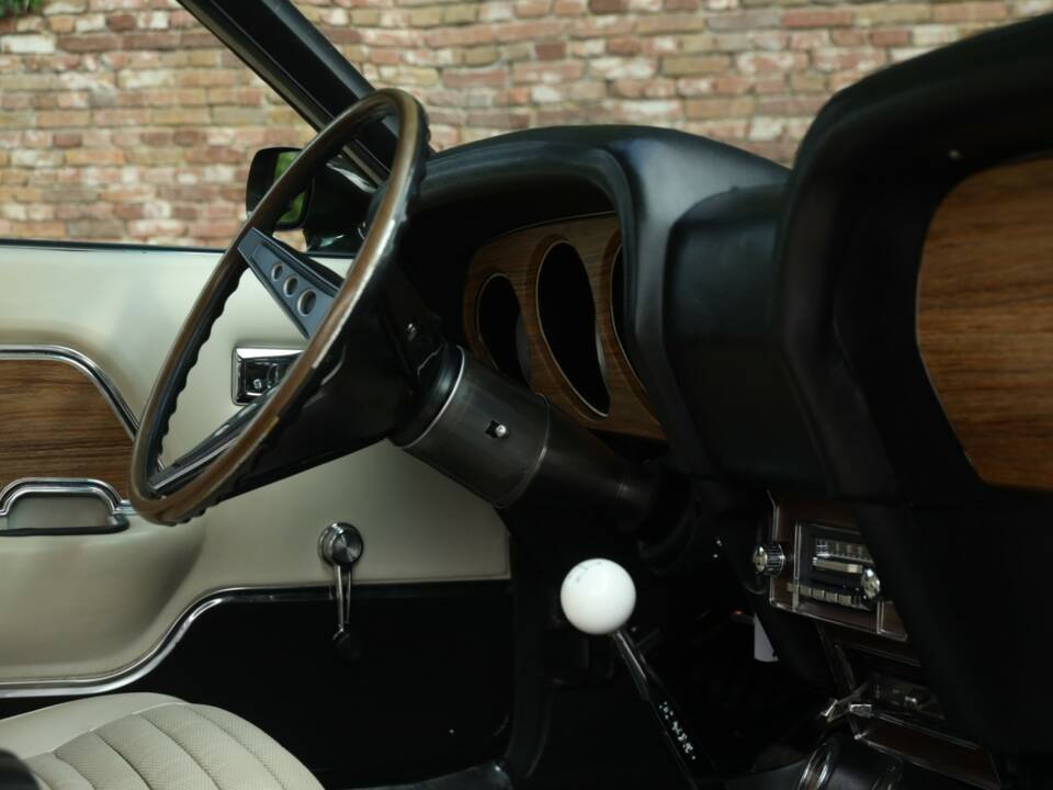 Image 28/50 of Ford Shelby GT 500 (1969)