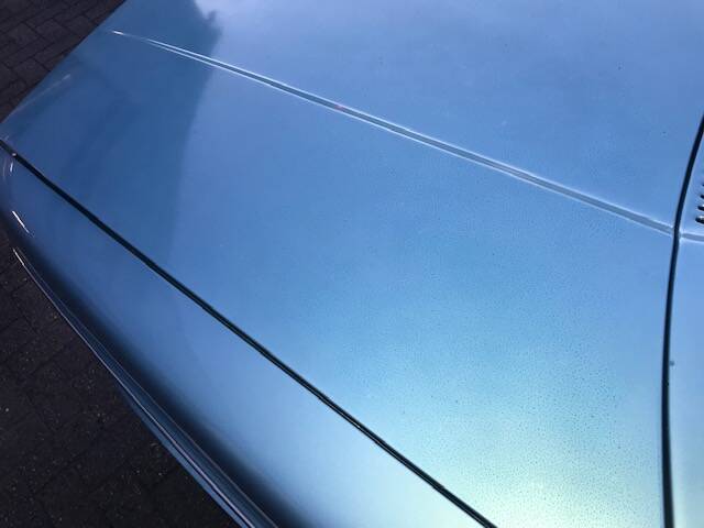 Image 26/91 of Volvo P 144 GL (1972)