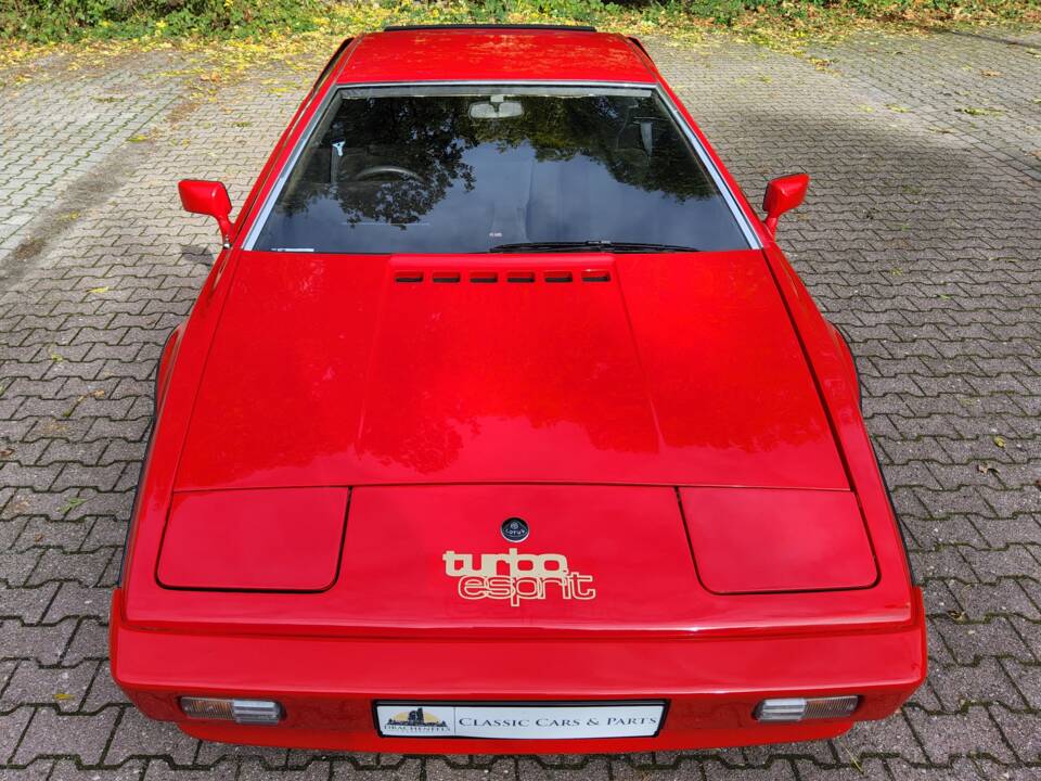 Bild 25/119 von Lotus Esprit Turbo (1981)