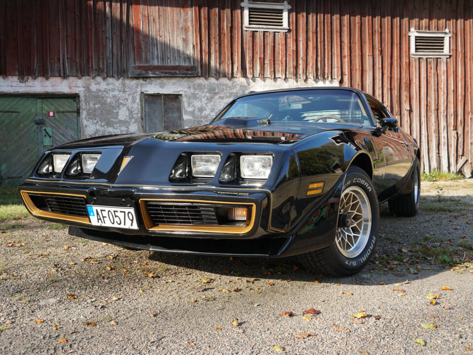 Image 18/69 of Pontiac Firebird TransAm (1979)