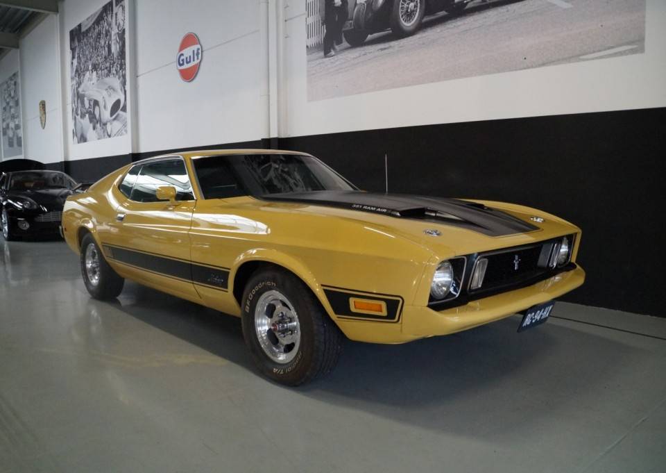 Image 1/46 of Ford Mustang Mach 1 (1972)