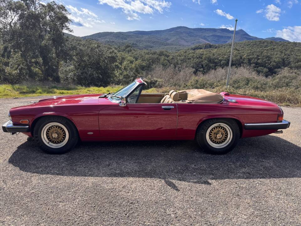 Bild 3/62 von Jaguar XJ-S Convertible (1988)