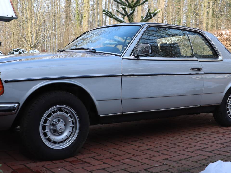 Bild 9/50 von Mercedes-Benz 280 C (1977)