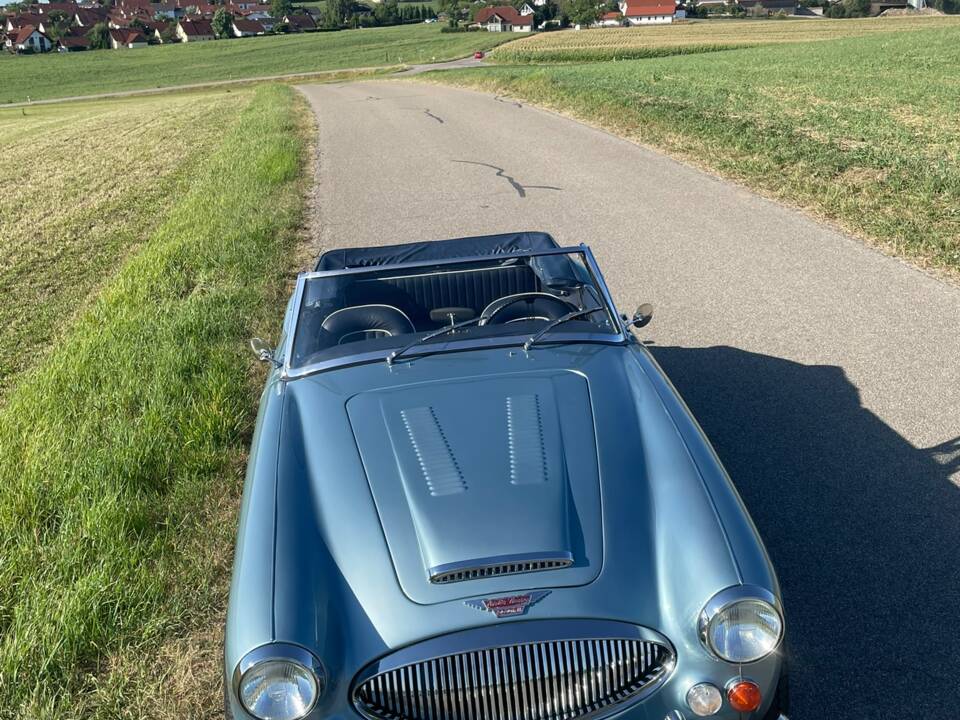 Afbeelding 6/35 van Austin-Healey 3000 Mk III (BJ8) (1967)