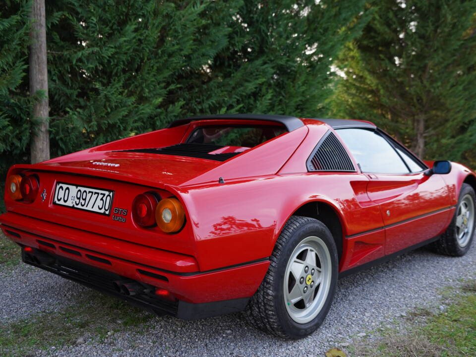 Bild 11/33 von Ferrari 208 GTS Turbo (1989)