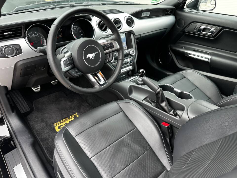 Image 24/44 of Ford Shelby GT/H (2017)
