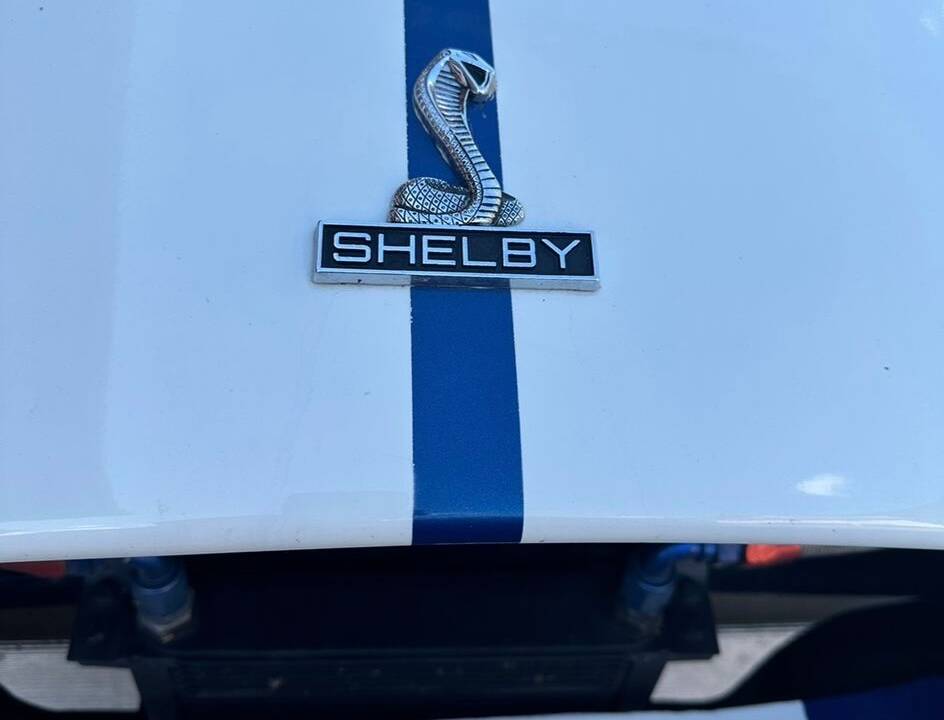 Image 13/57 of AC Cobra 427 (1965)