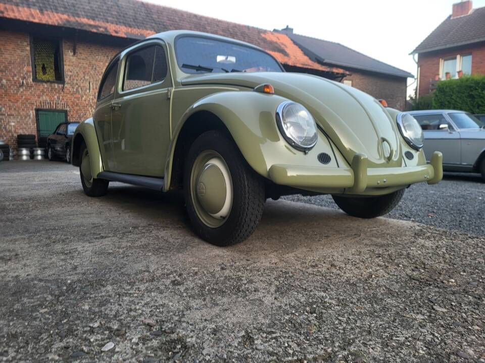 Immagine 10/34 di Volkswagen Maggiolino 1200 Standard &quot;Dickholmer&quot; (1963)