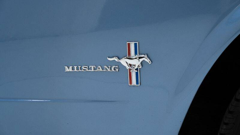 Imagen 14/15 de Ford Mustang GT (1965)
