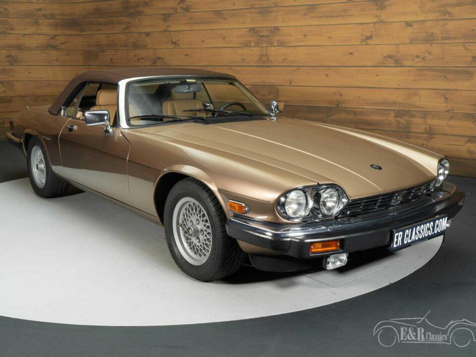 Bild 16/19 von Jaguar XJ-S H.E. (1990)